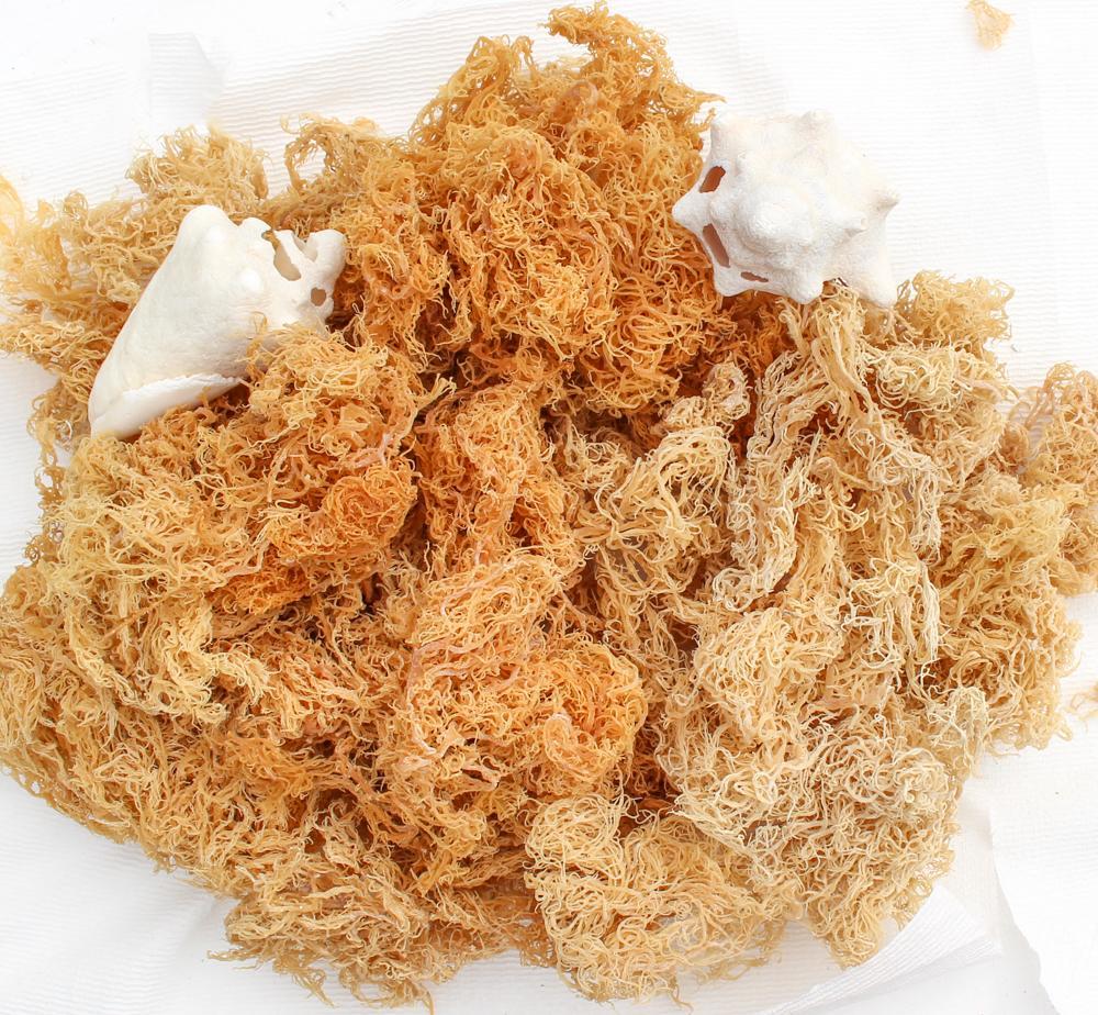 Wild Crafted Raw Imperial Sea Moss
